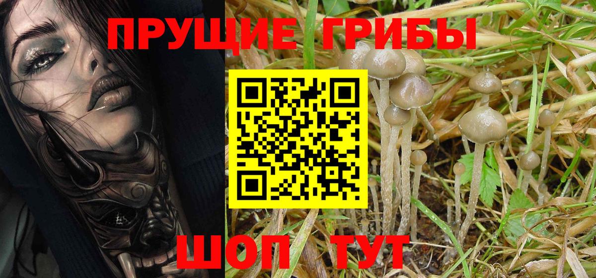 Псилоцибиновые грибы MAGIC MUSHROOMS  Вход с VPN  Воскресенск 